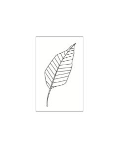 M&B Stamp - leaf stylized - 35x55mm