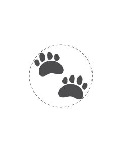 Mini Woodies Rubber Stamp - Paws