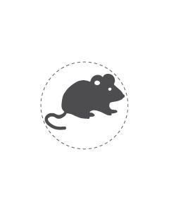 Mini Woodies Rubber Stamp - Mouse